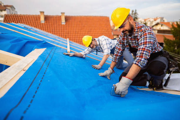 Professional Roofing Contractor in Albany, MN