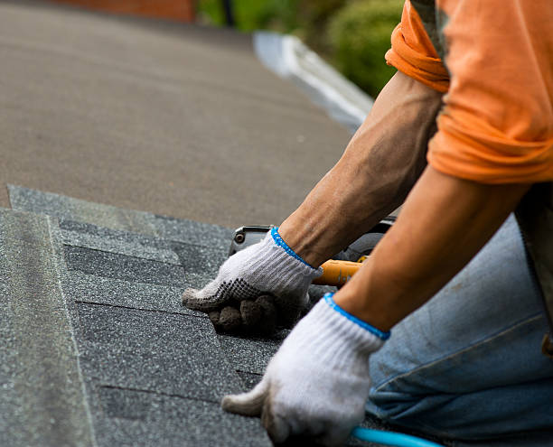 Roof Installation Near Me in Albany, MN