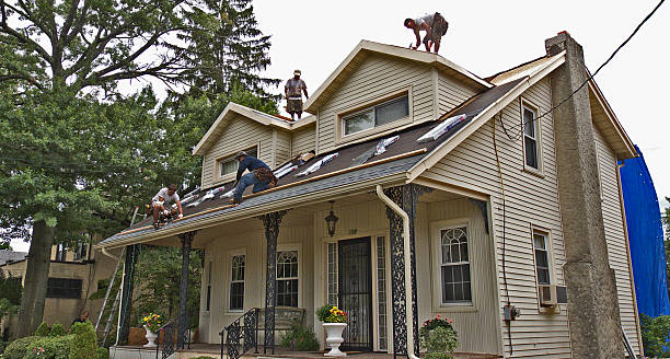 Roof Repair Estimates in Albany, MN