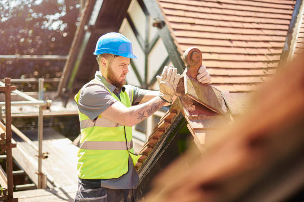 Best Roof Replacement Cost  in Albany, MN