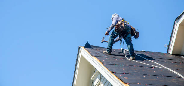Quick and Trustworthy Emergency Roof Repair Services in Albany, MN